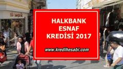 Halkbank Esnaf Kredisi