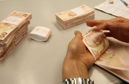 Bankadaki Paranın Devlet Güvencesi