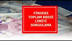 Findeks Toplam Kredi Limiti Sorgulama